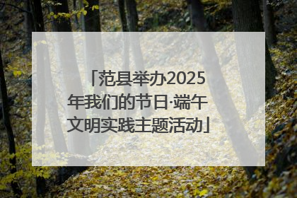 范县举办2025年我们的节日·端午文明实践主题活动