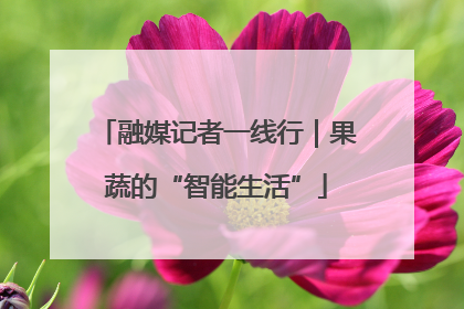 融媒记者一线行｜果蔬的“智能生活”