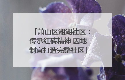 萧山区湘湖社区：传承红砖精神 因地制宜打造完整社区