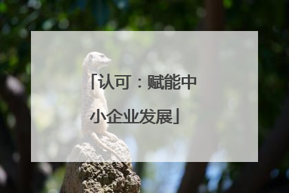认可：赋能中小企业发展