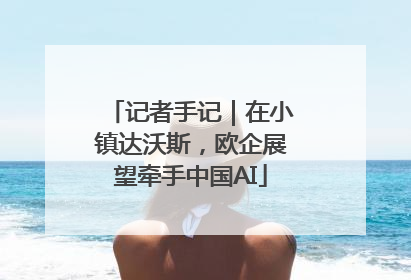 记者手记｜在小镇达沃斯，欧企展望牵手中国AI