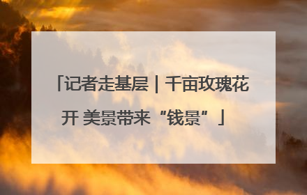 记者走基层｜千亩玫瑰花开 美景带来“钱景”