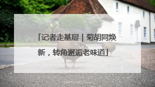 记者走基层｜菊胡同焕新，转角邂逅老味道