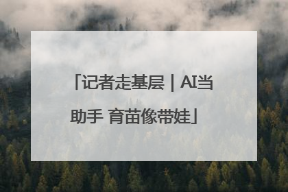 记者走基层｜AI当助手 育苗像带娃