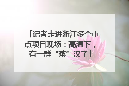 记者走进浙江多个重点项目现场：高温下，有一群“蒸”汉子