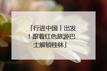 行进中国丨出发！跟着红色旅游巴士解锁桂林