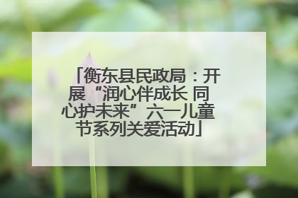 衡东县民政局：开展“润心伴成长 同心护未来”六一儿童节系列关爱活动