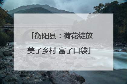衡阳县：荷花绽放 美了乡村 富了口袋