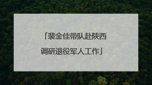 裴金佳带队赴陕西调研退役军人工作
