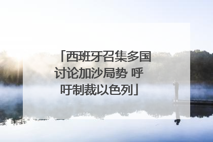 西班牙召集多国讨论加沙局势 呼吁制裁以色列
