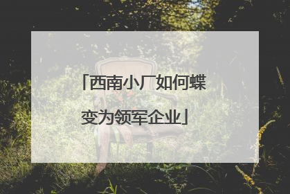 西南小厂如何蝶变为领军企业
