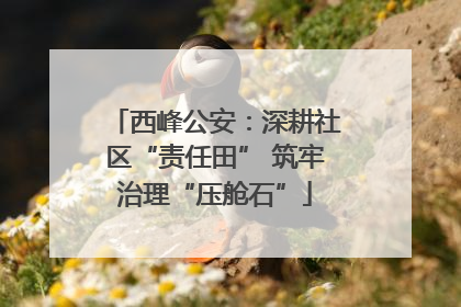 西峰公安：深耕社区“责任田” 筑牢治理“压舱石”