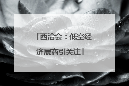 西洽会：低空经济展商引关注