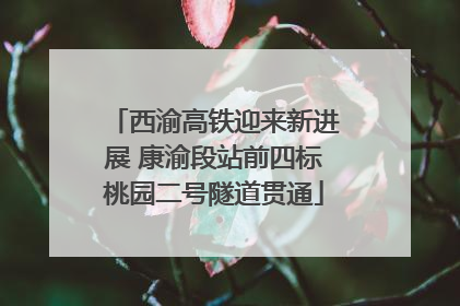 西渝高铁迎来新进展 康渝段站前四标桃园二号隧道贯通