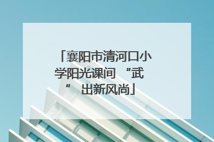 襄阳市清河口小学阳光课间 “武” 出新风尚