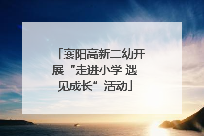 襄阳高新二幼开展“走进小学 遇见成长”活动