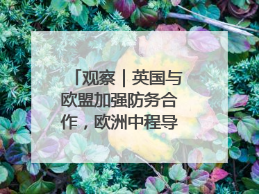 观察｜英国与欧盟加强防务合作，欧洲中程导弹竞赛或加剧