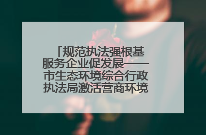 规范执法强根基 服务企业促发展——市生态环境综合行政执法局激活营商环境“绿色动能”