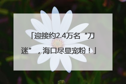 迎接约2.4万名“刀迷”，海口尽显宠粉！