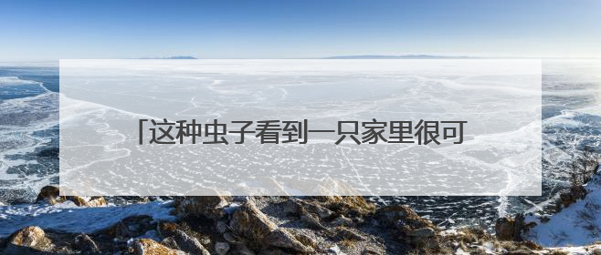 这种虫子看到一只家里很可能有一万只，除虫攻略→