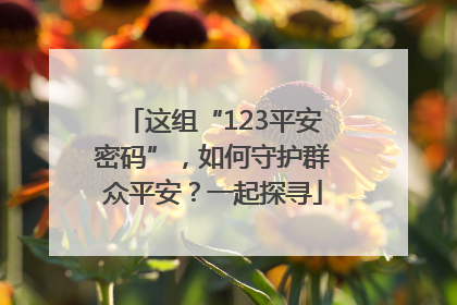 这组“123平安密码”，如何守护群众平安？一起探寻