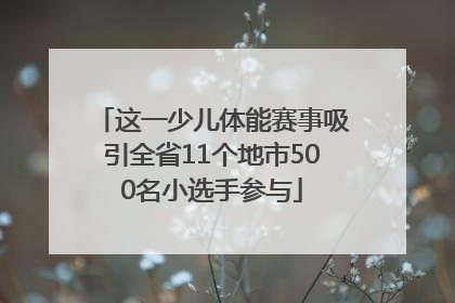 这一少儿体能赛事吸引全省11个地市500名小选手参与