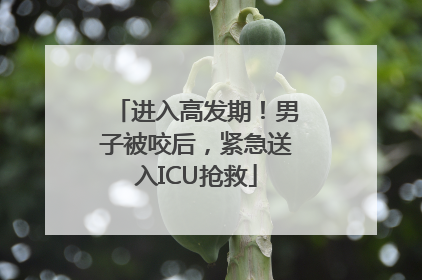 进入高发期！男子被咬后，紧急送入ICU抢救
