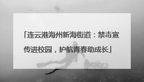 连云港海州新海街道：禁毒宣传进校园，护航青春助成长