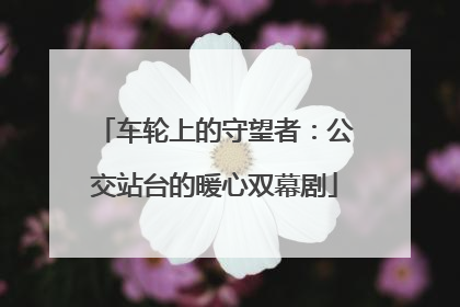 车轮上的守望者：公交站台的暖心双幕剧