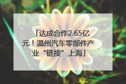 达成合作2.65亿元！温州汽车零部件产业“链接”上海