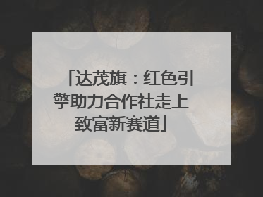 达茂旗：红色引擎助力合作社走上致富新赛道