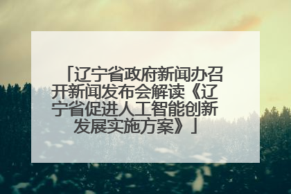 辽宁省政府新闻办召开新闻发布会解读《辽宁省促进人工智能创新发展实施方案》