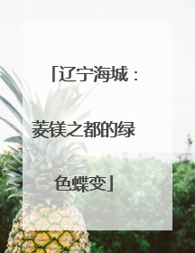 辽宁海城：菱镁之都的绿色蝶变