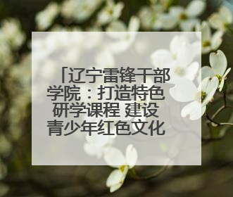 辽宁雷锋干部学院：打造特色研学课程 建设青少年红色文化教育高地