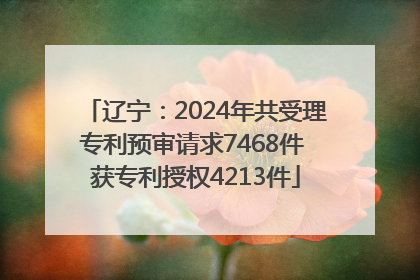 辽宁：2024年共受理专利预审请求7468件 获专利授权4213件