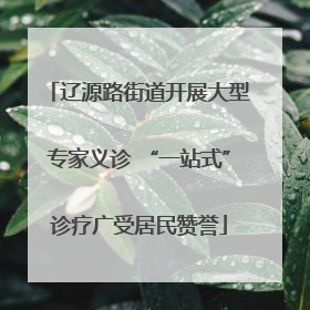 辽源路街道开展大型专家义诊 “一站式”诊疗广受居民赞誉