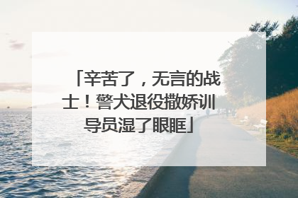 辛苦了，无言的战士！警犬退役撒娇训导员湿了眼眶