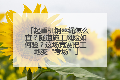 起重机钢丝绳怎么查？隧道施工风险如何验？这场竞赛把工地变“考场”