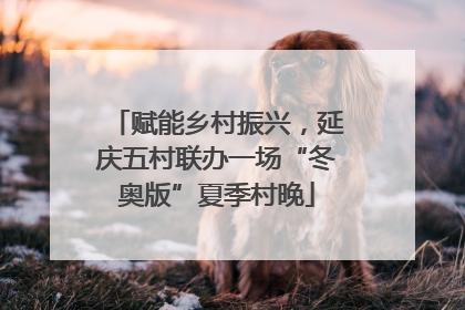 赋能乡村振兴，延庆五村联办一场“冬奥版”夏季村晚