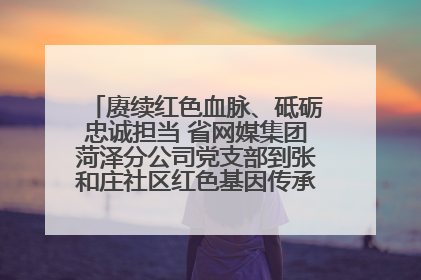 赓续红色血脉、砥砺忠诚担当 省网媒集团菏泽分公司党支部到张和庄社区红色基因传承馆开展主题党日活动