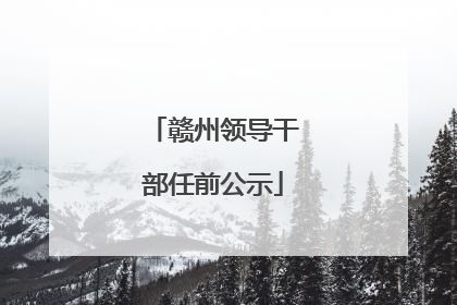 赣州领导干部任前公示