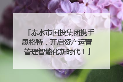 赤水市国投集团携手思格特，开启资产运营管理智能化新时代！