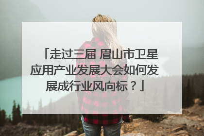 走过三届 眉山市卫星应用产业发展大会如何发展成行业风向标？