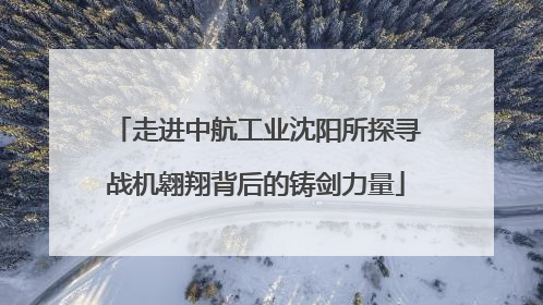 走进中航工业沈阳所探寻战机翱翔背后的铸剑力量