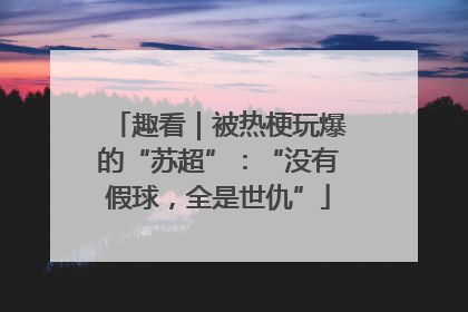 趣看｜被热梗玩爆的“苏超”：“没有假球，全是世仇”