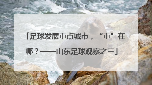 足球发展重点城市，“重”在哪？——山东足球观察之三