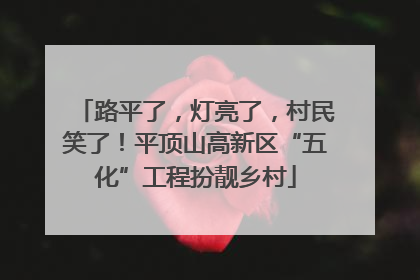 路平了，灯亮了，村民笑了！平顶山高新区“五化”工程扮靓乡村