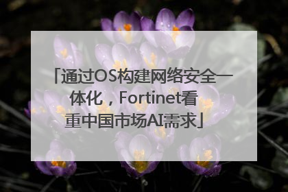 通过OS构建网络安全一体化，Fortinet看重中国市场AI需求