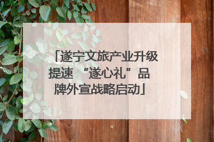 遂宁文旅产业升级提速 “遂心礼”品牌外宣战略启动