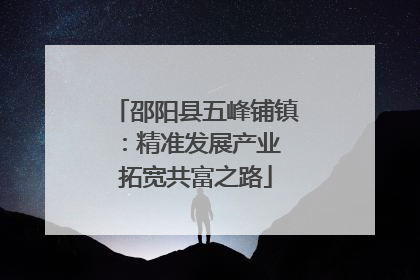 邵阳县五峰铺镇：精准发展产业 拓宽共富之路